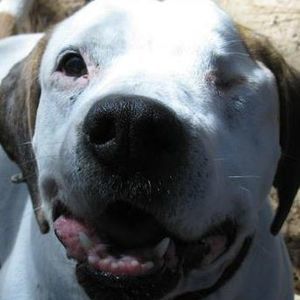 Meet your Posher, Connie